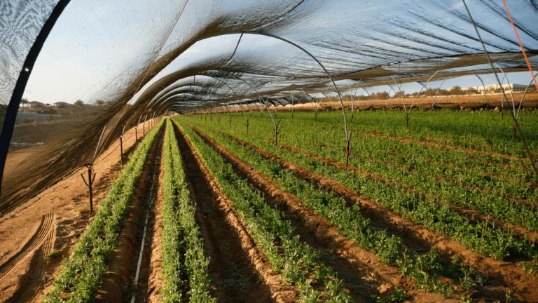 Navarra concede 2,5 millones en ayudas al sector agrícola